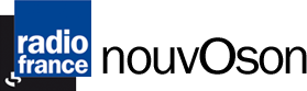 logo nouvoson